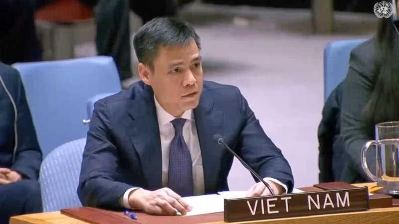 El representante permanente de Vietnam ante Naciones Unidas, el embajador Dang Hoang Giang. (Foto: VNA)