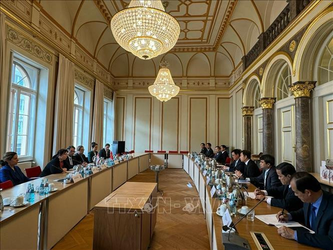 Durante la sesión de trabajo entre el grupo de trabajo del Ministerio de Justicia de Vietnam y el Ministerio de Justicia del estado de Hesse (Foto: VNA)