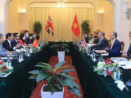 El embajador vietnamita en el Reino Unido, Nguyen Hoang Long. (Fuente: VNA)