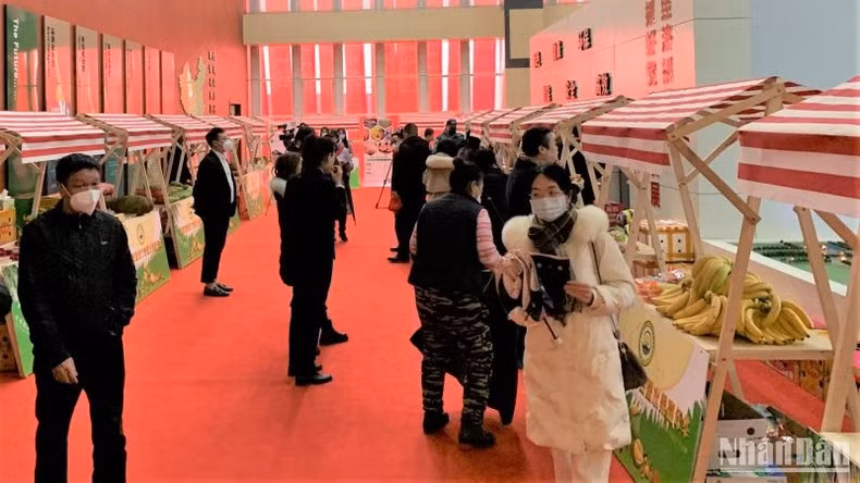 En la actividad. (Fotografía: Nhan Dan)