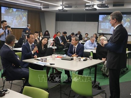 Efectúan coloquio sobre la promoción de cooperación entre Vietnam y Australia. (Foto: VNA)