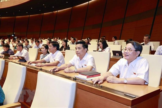 Panorama de la cita. (Foto: VNA)