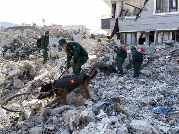 Rescatistas vietnamitas buscan víctimas en la provincia turca de Hatay. (Fotografía: VNA)