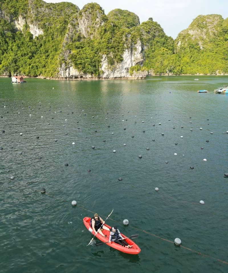 El kayak lleva a los viajeros a la Granja de Perlas de Tung Sau, uno de los mejores sitios para practicar este deporte en la bahía de Ha Long, gracias a las islas rocosas que lo rodean para formar un refugio natural contra vientos y olas.