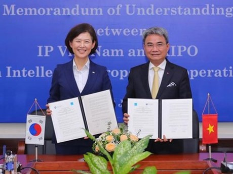Representantes vietnamita y surcoreana intercambian memorándum de cooperación. (Foto: VNA)