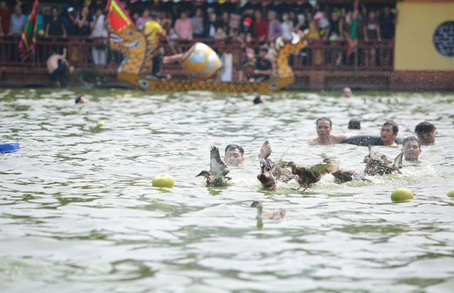 El festival de captura de patos. (Fotografía: toquoc.vn)