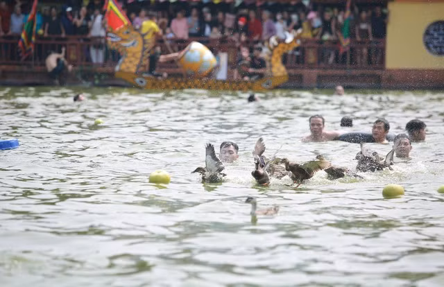 El festival de captura de patos. (Fotografía: toquoc.vn)