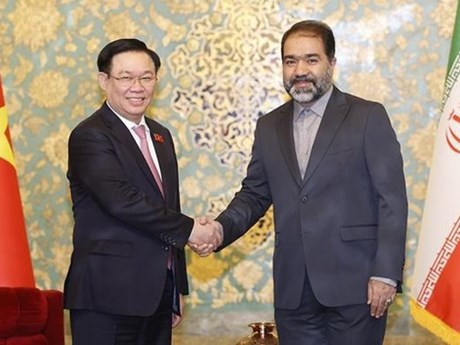 El presidente de la Asamblea Nacional, Vuong Dinh Hue, recibe al gobernador Isfahan Reza Mortazavi. (Foto: VNA)