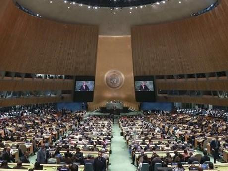 Panorama de la cita. (Fotografía: VNA)