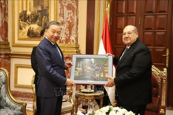El general To Lam, ministro de Seguridad Pública de Vietnam, y el presidente del Senado egipcio y titular del Partido del Futuro de la Nación (NFP), Abdel-Wahab Abdel-Razek. (Foto: VNA)