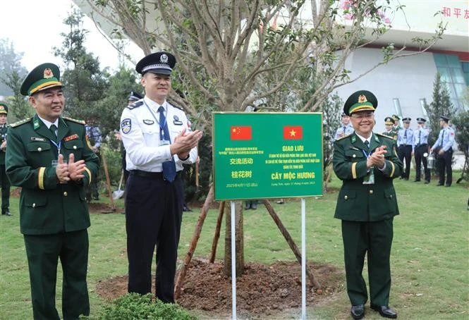 Los delegados del programa plantan un árbol en el paso fronterizo internacional de Huu Nghi (Foto: VNA)