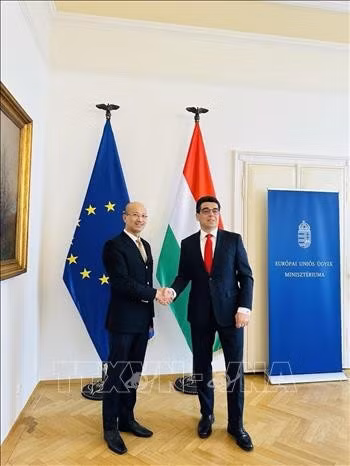 El Embajador de Vietnam en Hungría, Bui Le Thai, y el viceministro y secretario de Estado de Asuntos Parlamentarios del Ministerio de Asuntos de la Unión Europea, Barna Pal Zsigmond. (Foto: VNA)