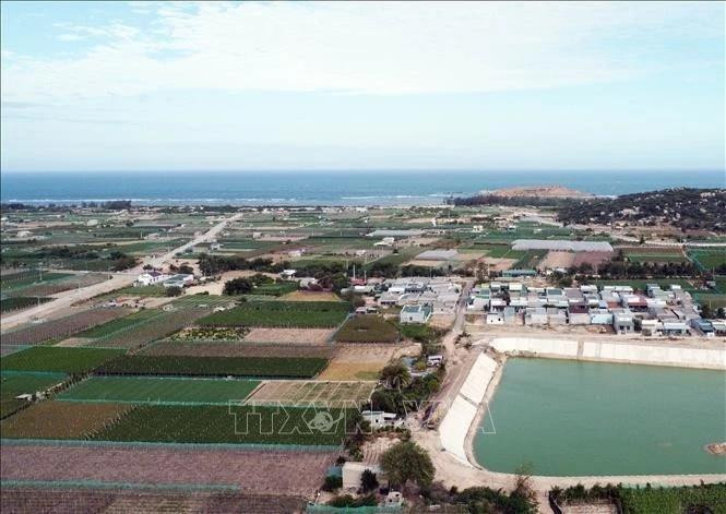 La zona en que se construirá la planta nuclear de Ninh Thuan 2. (Foto: VNA)