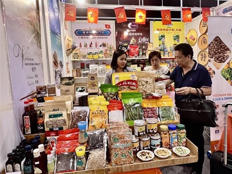 En el pabellón de Vietnam. (Foto: VNA)