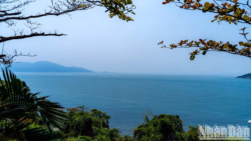 La ciudad de Da Nang vista desde el faro de Son Cha.