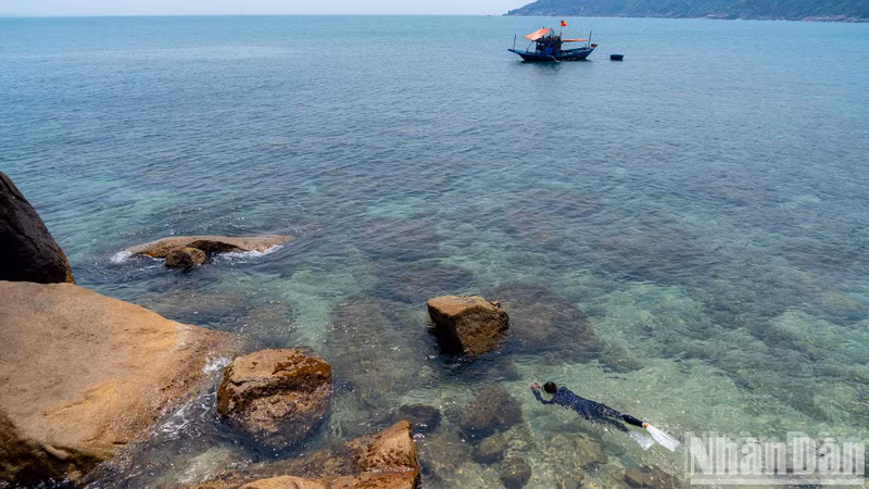Esta "perla" tiene un ecosistema submarino diverso con más de 144 especies de coral, 135 especies de algas y 162 especies de peces coloridos que crean una imagen brillante bajo el mar.
