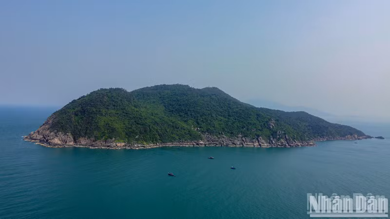 Son Cha es una isla situada al norte de Da Nang, conocida por sus majestuosos paisajes naturales.