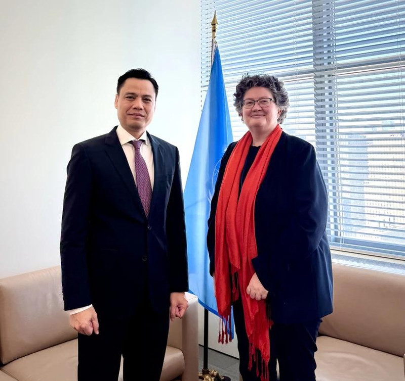 La secretaria general adjunta de Asuntos Jurídicos de las Naciones Unidas, Elinor Hammarskjöld, y el embajador Dang Hoang Giang, representante permanente de Vietnam ante la ONU. (Foto: VNA)