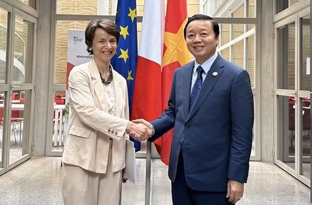 El viceprimer ministro vietnamita Tran Hong Ha se reunió con la vicedirectora general de la Agencia Francesa de Desarrollo (AFD), Marie Helene Loison. (Foto: VNA)