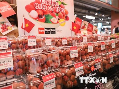 Lichis vietnamitas en supermercados de Tailandia. (Foto: VNA)
