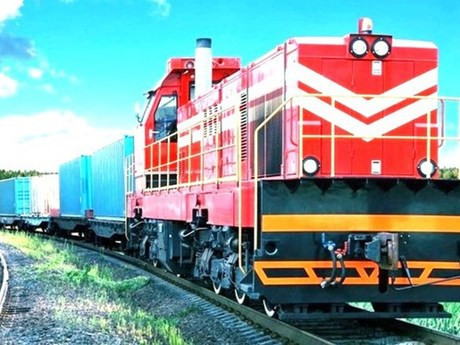 El tren de carga desde Binh Duong a China. (Foto:VNA)