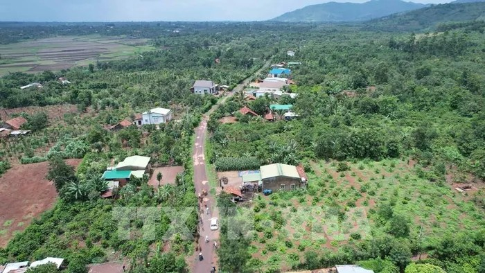 El tramo de la autopista Khanh Hoa - Buon Ma Thuot que pasa por la comuna de Ea Kenh, distrito de Krong Pac, provincia de Dak Lak, ha sido marcado para su limpieza de terreno. (Foto: VNA)
