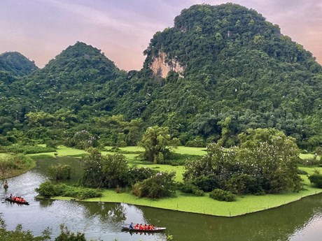 Thung Nham es conocido como el "hogar" ideal de diversas especies de aves residentes en el delta del Norte y de aves migratorias estacionales. (Fuente:VNA) 