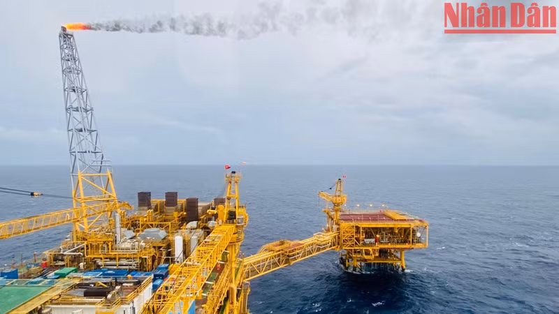 El conjunto de plataformas petrolíferas Hai Thach-Moc Tinh pertenece al proyecto "Mar del Este-01" del Grupo de Petróleo y Gas de Vietnam (Petrovietnam). Se trata de la mayor construcción marítima diseñada, fabricada, instalada y operada por la compañía vietnamita en las aguas más profundas y lejanas del país.