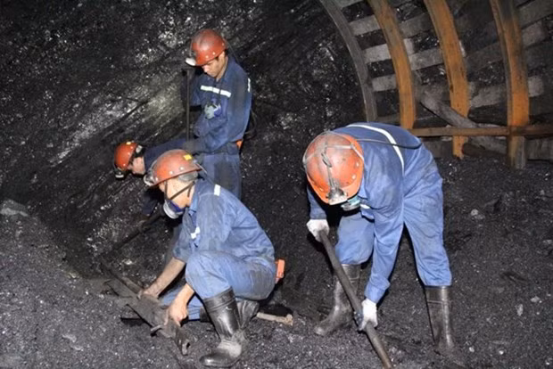 Foto de ilustración. (Foto: VNA) Foto de ilustración. (Foto: VNA)