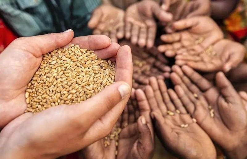El mundo ante la acechante inseguridad alimentaria 