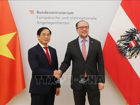El canciller austriaca, Alexander Schallenberg, recibe a su homólogo vietnamita, Bui Thanh Son. (Fotografía: VNA)