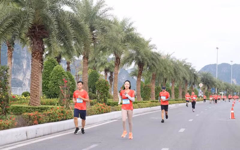 Los paisajes naturales únicos y el aire fresco del mar brindan experiencias especiales a los visitantes. (Foto: quangninh.gov.vn)
