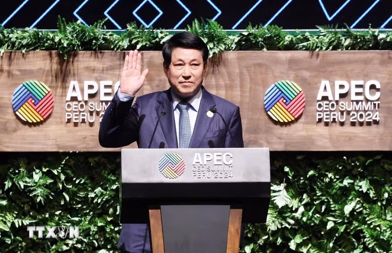 El presidente vietnamita, Luong Cuong, habla en la Cumbre de CEO de APEC. (Foto: VNA)
