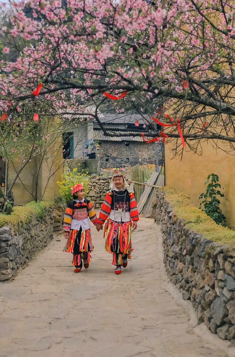 Según el fotógrafo, la combinación del color rosa brillante de las flores y la belleza inherente de esta tierra montañosa da como resultado una escena impresionante.