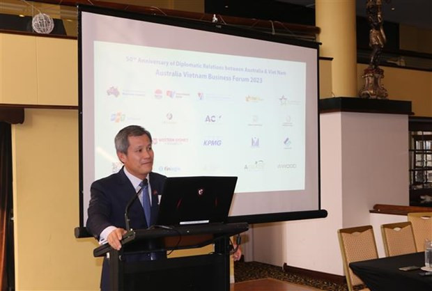 Nguyen Dang Thang, cónsul general de Vietnam en los estados australianos de Nueva Gales del Sur, Queensland y Australia Meridional. (Foto: VNA)