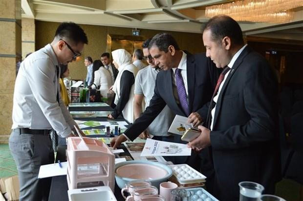 Empresas de Egipto se interesan en productos vietnamitas. (Fotografía: VNA)