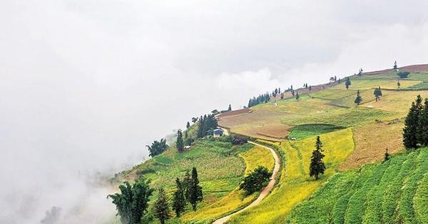 Vista panorámica de la estepa de Suoi Thau en la madrugada.