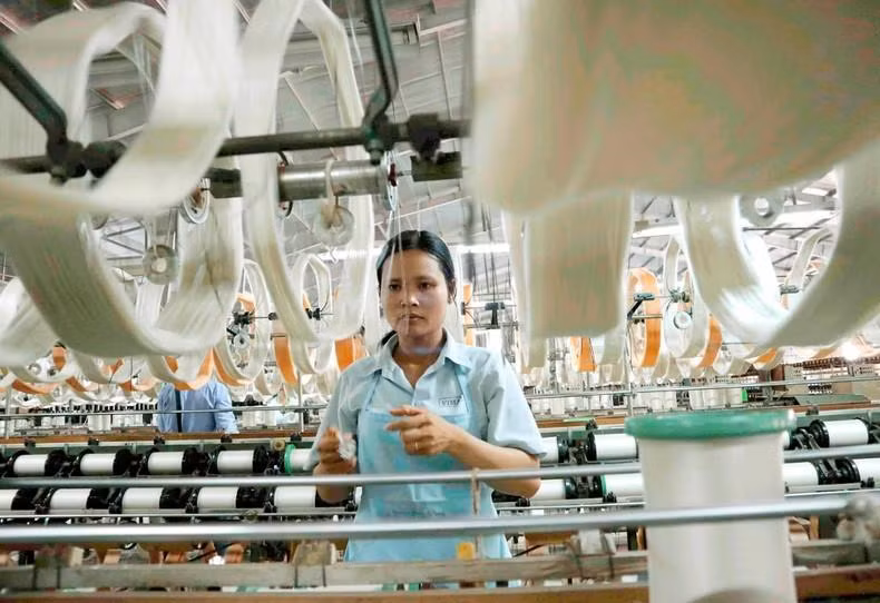 Producción de seda en Bao Loc. Producción de seda en Bao Loc.