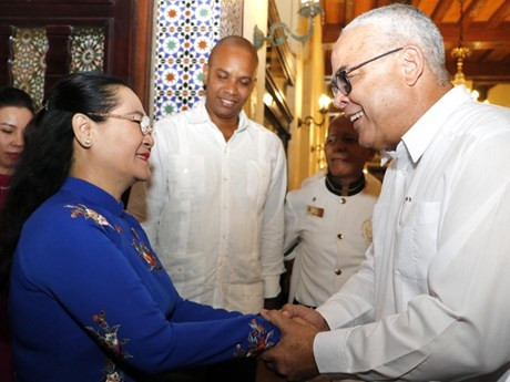La vicesecretaria del Comité del Partido Comunista de Vietnam en Ciudad Ho Chi Minh y presidenta del Consejo Popular de esta urbe vietnamita, Nguyen Thi Le, es recibida por Luis Antonio Torres Iríbar, primer secretario del Partido Comunista de Cuba en La Habana. (Fuente:VNA)