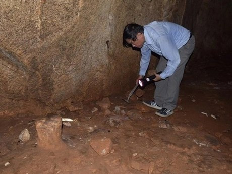 Algunas reliquias descubiertas. (Foto: VNA)