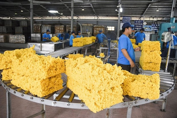 Trabajadores en la empresa de caucho Viet Lao. (Foto: VNA)