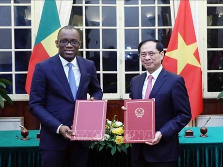 El ministro de Relaciones Exteriores, Bui Thanh Son (derecha), y su homólogo beninés, Olushegun Adjadi Bakari, intercambian el Memorando de Entendimiento sobre cooperación entre las dos Cancillerías tras sus conversaciones. (Foto: VNA)