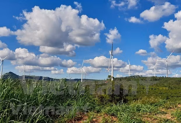 Vietnam debe mejorar la capacidad para prevenir desastres naturales y responder al cambio climático. (Foto: VNA)