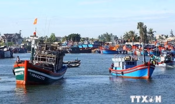 Barcos pesqueros de la provincia de Quang Ngai amarrados en el puerto de Sa Ky. (Fotografía: VNA)