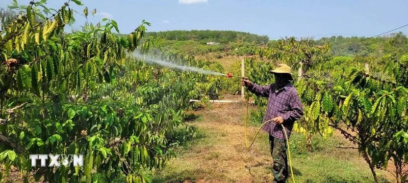 Un camboyano en su campo. (Foto: VNA)