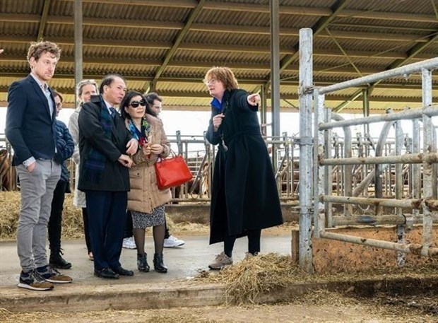 El embajador Pham Viet Anh visita una granja en la ciudad de Oss. (Foto: VNA)