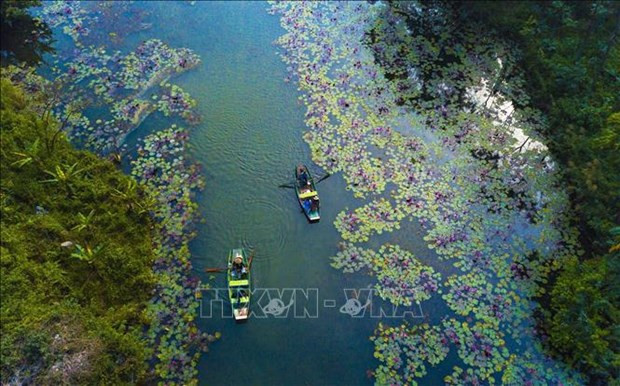 Hermoso paisaje de Ninh Binh. (Foto: VNA)