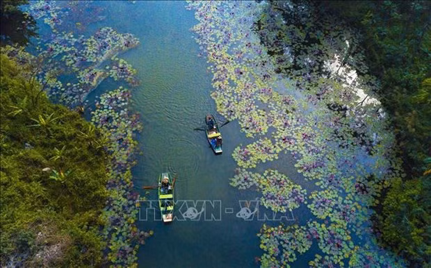 Hermoso paisaje de Ninh Binh. (Foto: VNA)
