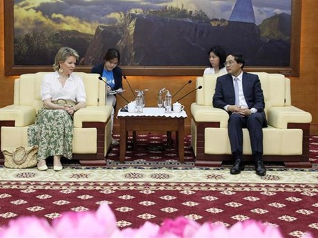 El presidente del Comité Popular de Lao Cai, Trinh Xuan Truong, recibe a la reina belga Mathilde, quien es también la presidenta honoraria de Unicef Bélgica (Fuente: VNA)