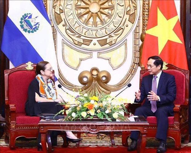 El canciller vietnamita, Bui Thanh Son, y su homóloga de El Salvador, Alexandra Hill Tinoco. (Fotografía: VNA)